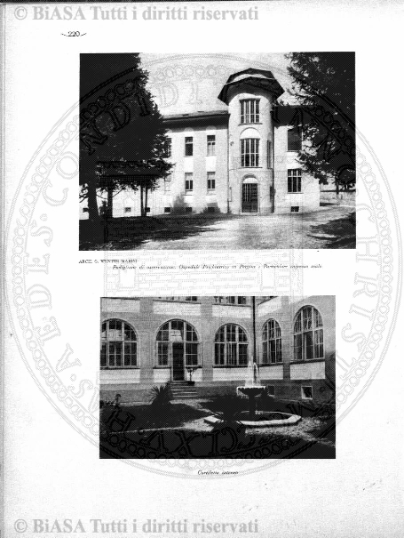 s. 2, n. 10 (1891-1892) - Pagina: 217