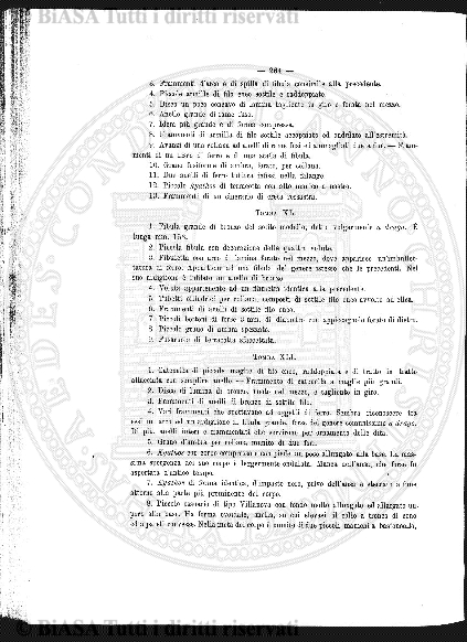 n.s., mag-dic (1904) - Pagina: 169