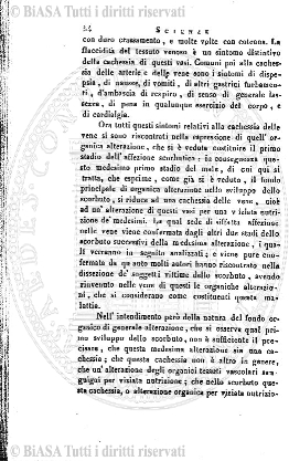 n. 11 (1906-1907) - Pagina: 45