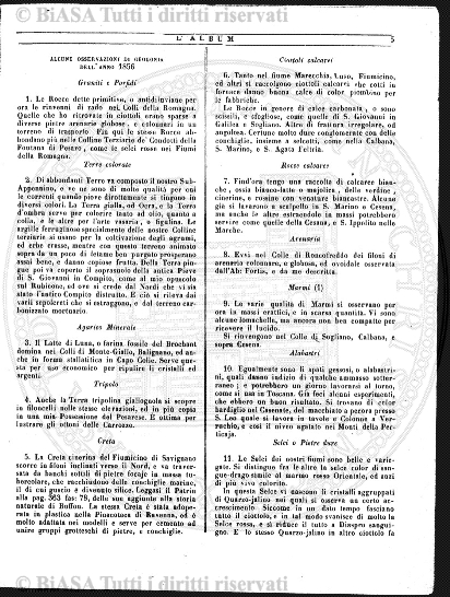 n. 10 (1882) - Pagina: 209