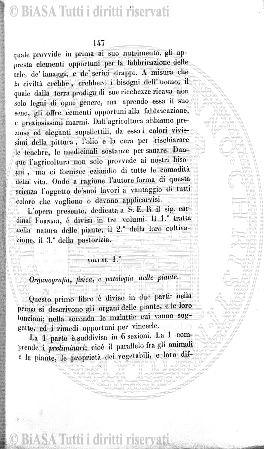 v. 13, n. 31 (1846-1847) - Pagina: 241