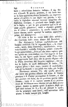 n. 13 (1874-1875) - Sommario: p. 97