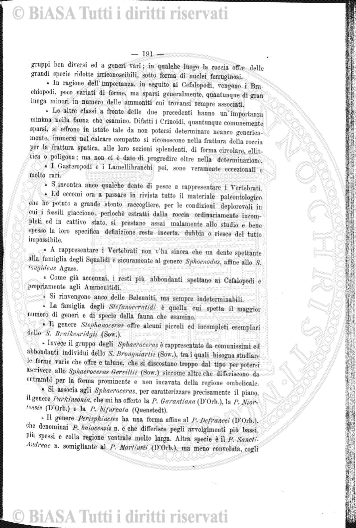 n. 1 (1913) - Copertina: 1