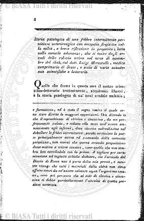 n. 19 (1878) - Frontespizio e sommario
