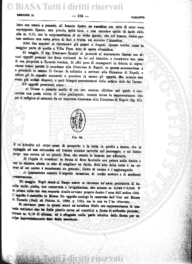 v. 14, n. 28 (1847-1848) - Pagina: 221