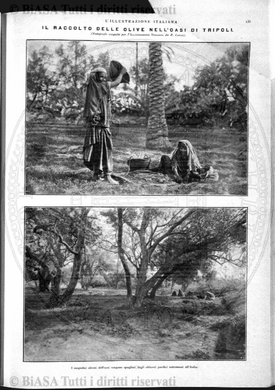 v. 2 (1924-1925) - Frontespizio