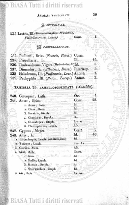 n. 6 (1909) - Copertina: 1