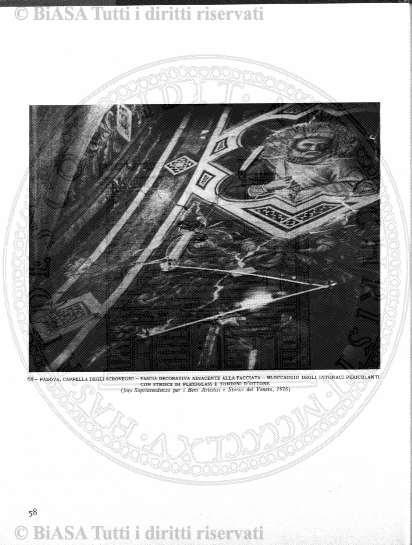 v. 7, n. 39 (1842-1843) - Pagina: 305