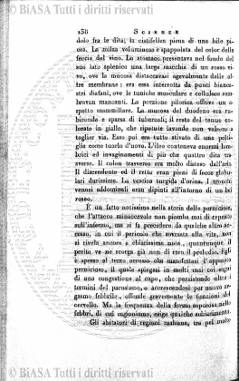 v. 41, n. 245 (1915) - Pagina: 322
