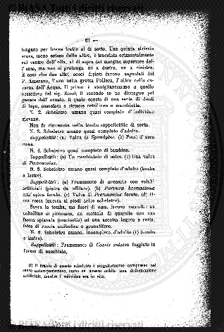n. 19 (1929) - Pagina: 1