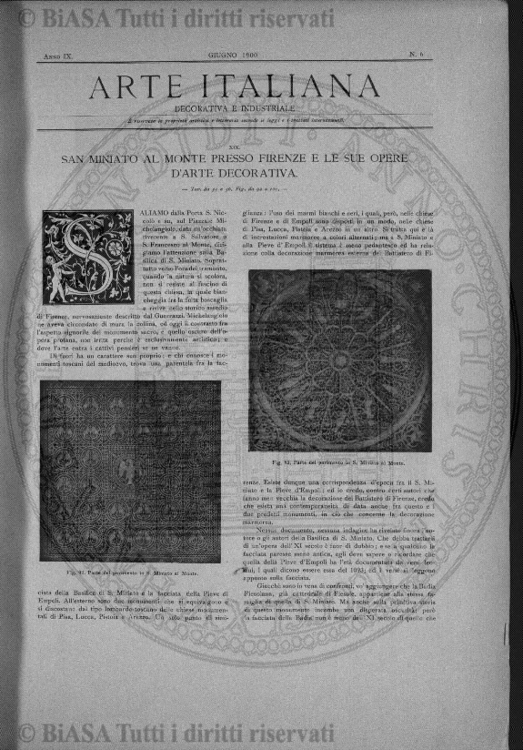 v. 8, n. 31 (1843-1844) - Pagina: 241