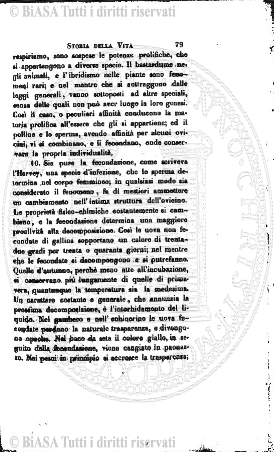 n. 1 (1875) - Frontespizio