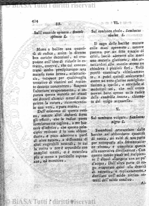 n. 8 (1873) - Pagina: 113