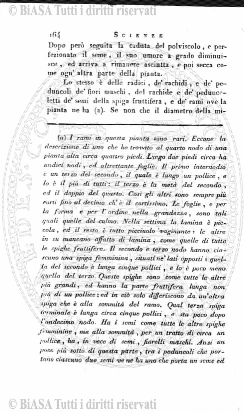 n. 2 (1884) - Pagina: 3