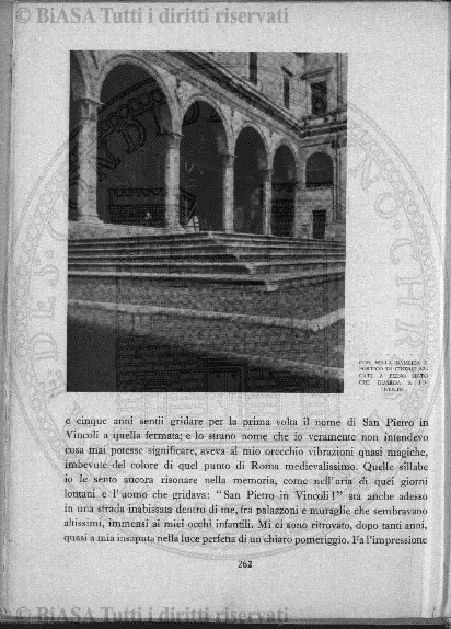 n. 5 (1907) - Pagina: 223