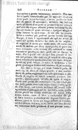 n. 21 (1896) - Frontespizio