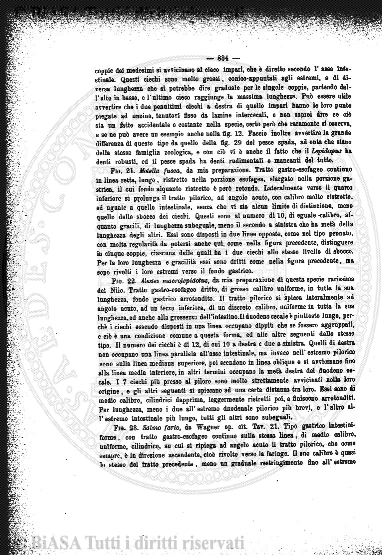 v. 11, n. 21 (1844-1845) - Pagina: 161