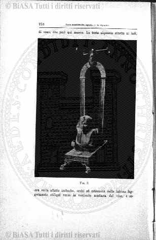 n. 8 (1943) - Copertina: 1