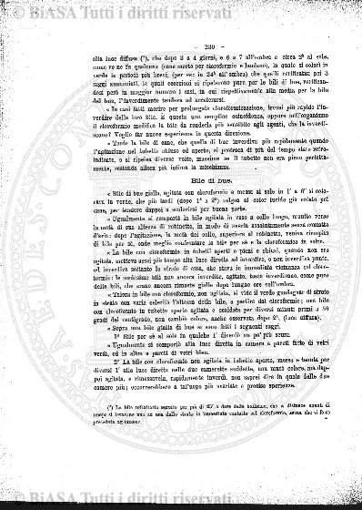 n. 8 (1913) - Pagina: 281