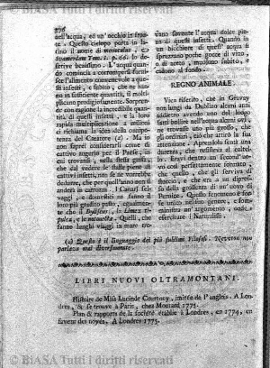 n.s., n. 2 (1905) - Copertina: 1