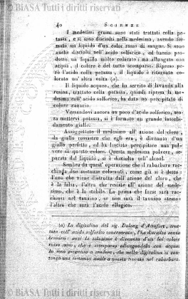 n. 11 (1914) - Copertina: 1