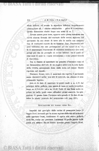 v. 18, n. 29 (1851-1852) - Pagina: 225