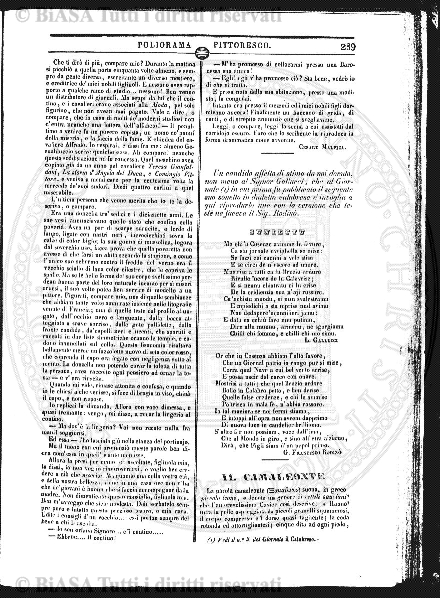 s. 5, n. 1 (1913) - Copertina: 1