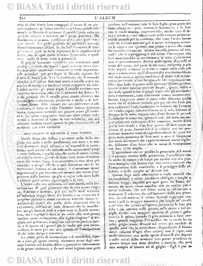 n. 11 (1859) - Pagina: 209