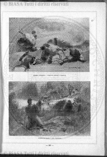 v. 22, n. 5 (1855-1856) - Pagina: 33