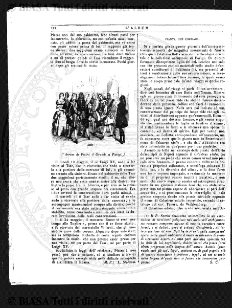 n. 39 (1884) - Pagina: 305 e sommario