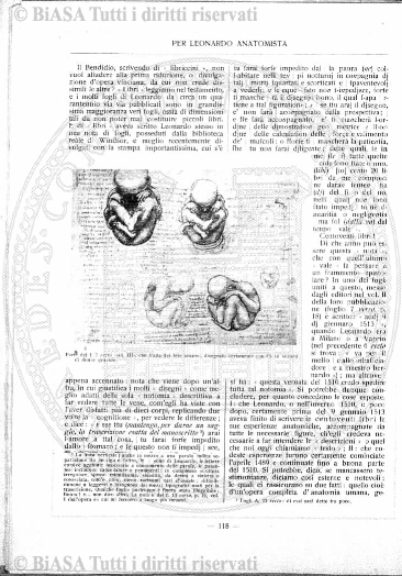s. 3, v. 7, n. 8 (1882-1883) - Copertina: 1