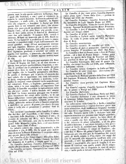 n. 12 (1873-1874) - Sommario: p. 89