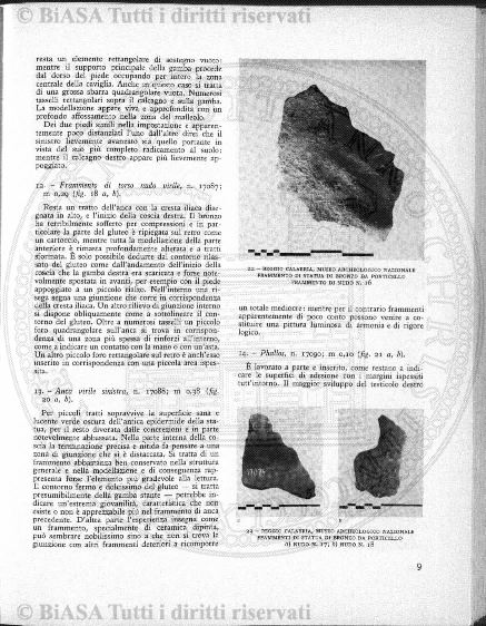 v. 2, n. 8 (1867) - Pagina: 145