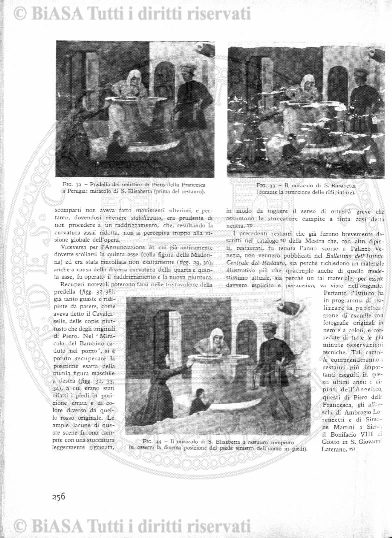n. 5 (1902) - Pagina: 229