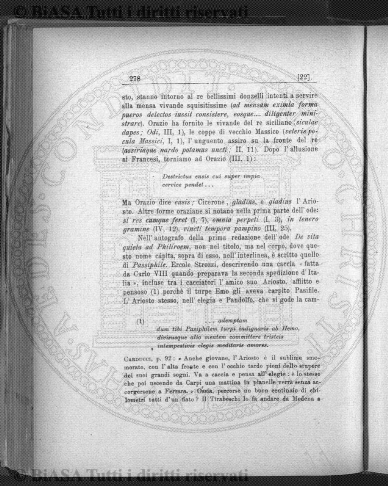 n. 17 (1904) - Frontespizio