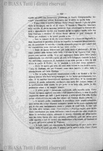 n. 18 (1933) - Pagina: 1