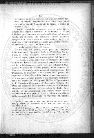 n. 7 (1910) - Pagina: 241