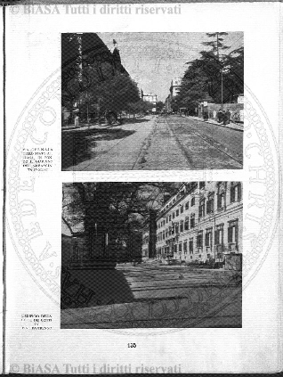 v. 13, n. 41 (1846-1847) - Pagina: 341