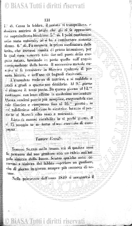 v. 17, n. 28 (1850-1851) - Pagina: 217