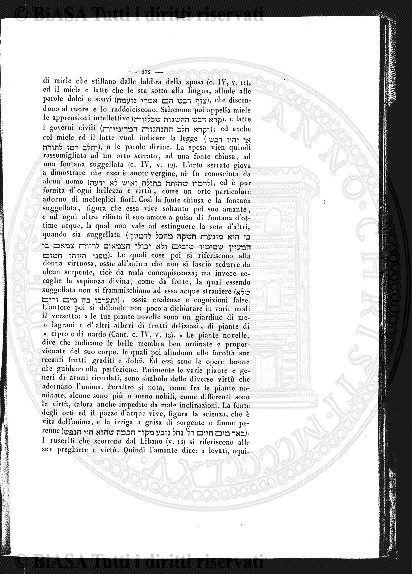 n. 7 (1928) - Pagina: 73