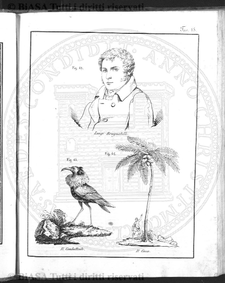 v. 2, n. 34 (1837-1838) - Pagina: 265