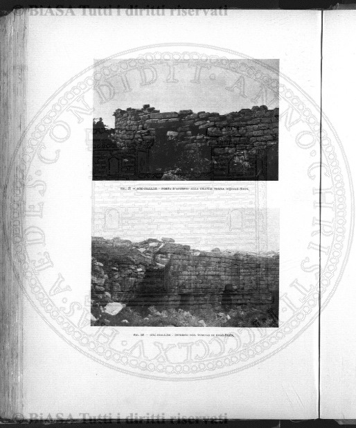 n. 8-9 (1877) - Pagina: 145