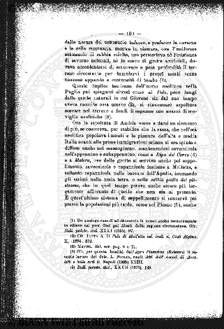 v. 13, n. 8 (1904) - Pagina: 113