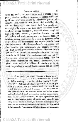 v. 31, n. 184 (1910) - Copertina: 1