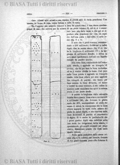 s. 2, n. 38 (1889-1890) - Pagina: 865