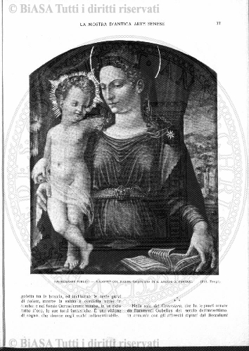 n. 4 (1910) - Pagina: 29