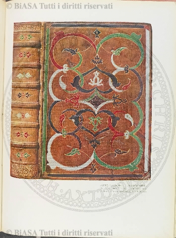 v. 18, n. 3 (1851-1852) - Pagina: 17