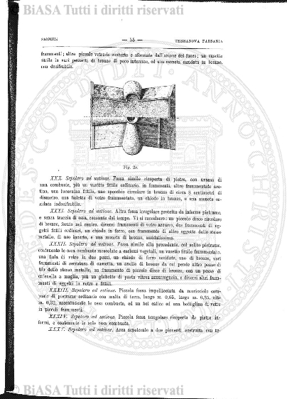 s. 4, v. 2, n. 10-12 (1906) - Pagina: 181