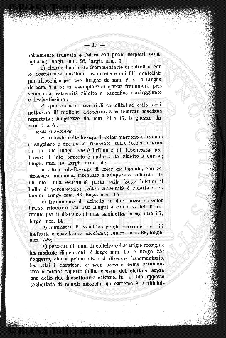 v. 27, n. 161 (1908) - Pagina: 323