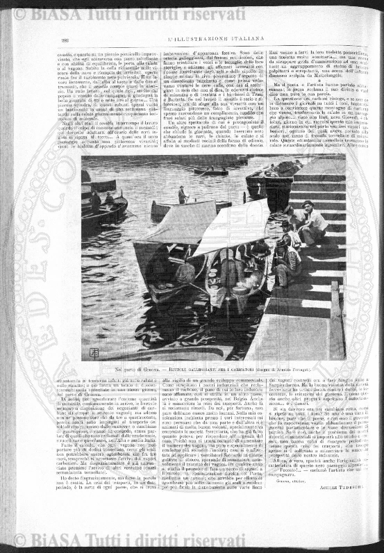 n. 29 (1879) - Frontespizio e sommario